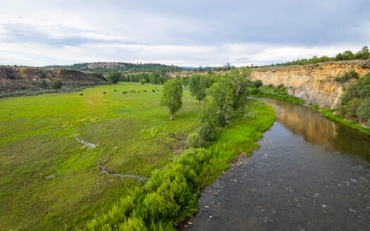 Chama River Ranch